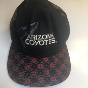 NWOT Gilariver Arizona Coyotes Cap